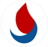 Logo Digi AI